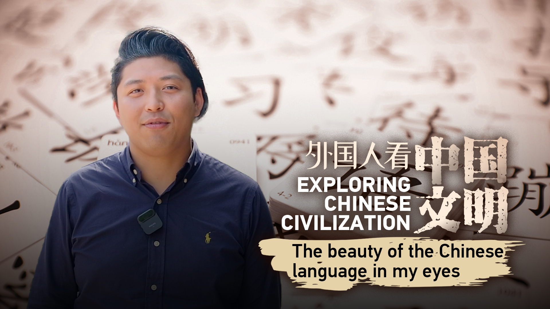 The beauty of the Chinese language in my eyes