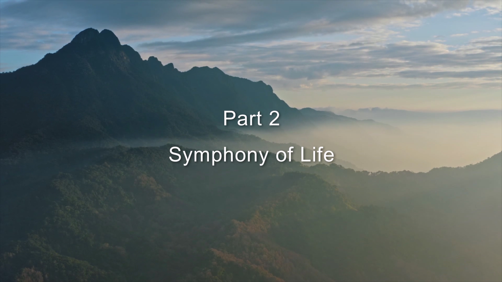 Secrets of the Hainan Rainforest Ep. 2: Symphony of Life