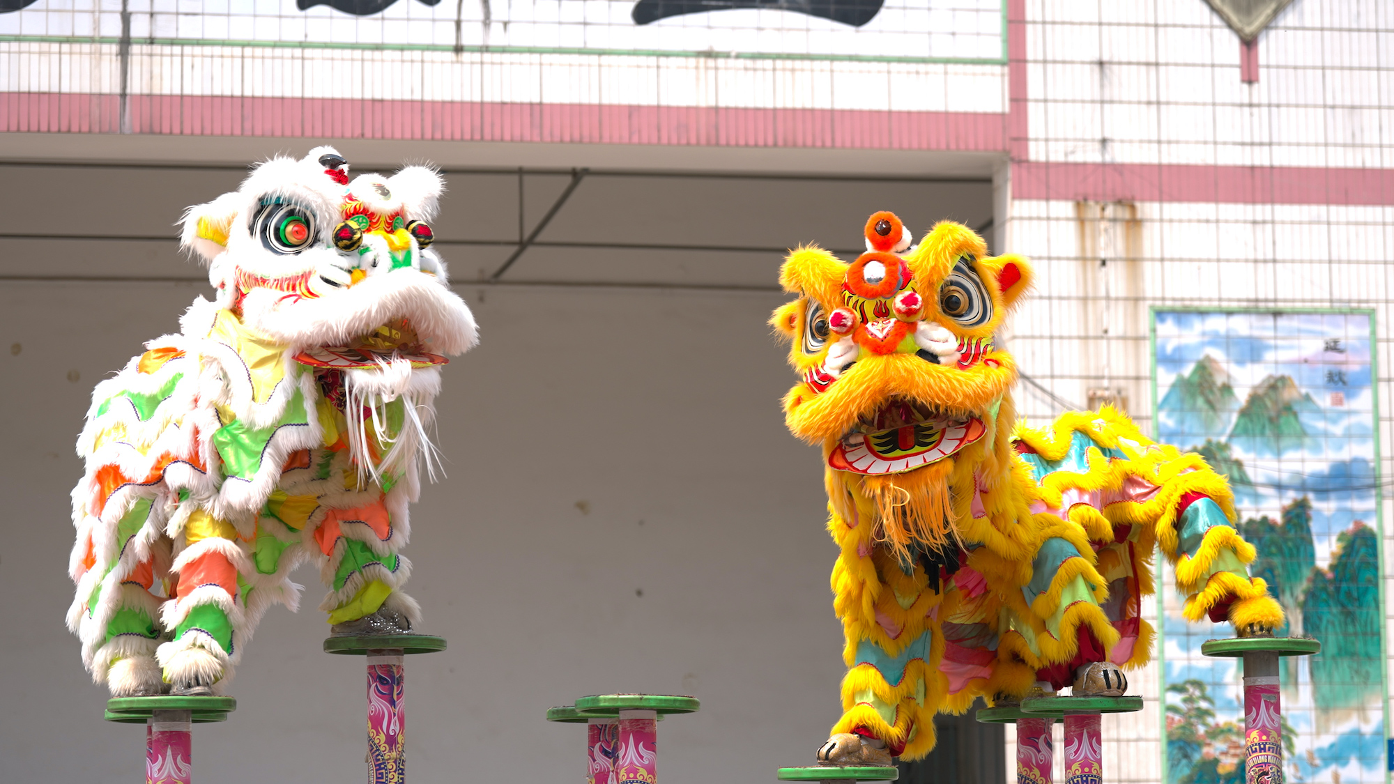 From tiny fans to lion dance masters